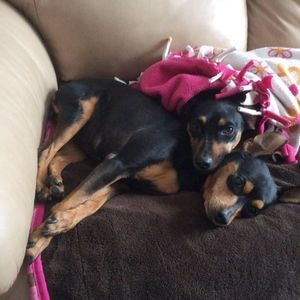 Meet your Posher, Carolyn